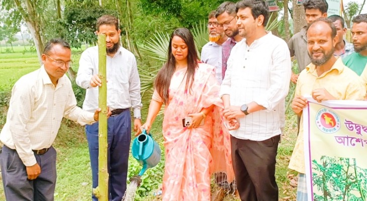 বীরগঞ্জে সজিনা চারা রোপণ কর্মসূচির উদ্বোধন